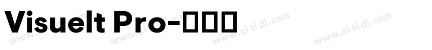 Visuelt Pro字体转换 Visuelt Pro字体转换